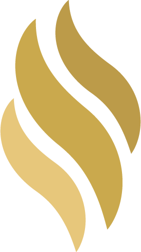 luminaday.app favicon